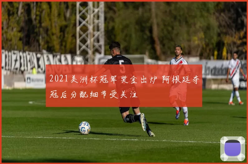 2021美洲杯冠军奖金出炉 阿根廷夺冠后分配细节受关注